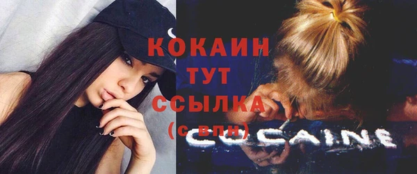 соль ск Горно-Алтайск