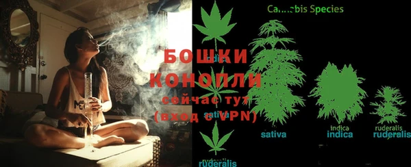 твердый Вязьма
