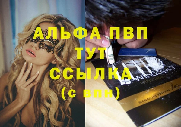 прущий лед Горняк