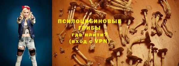 соль ск Горно-Алтайск